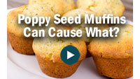 Poppy Sees Muffins Can Cause What?